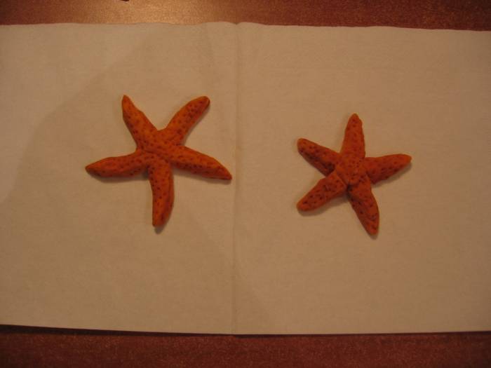 stelle marine in pasta di zucchero o mmf