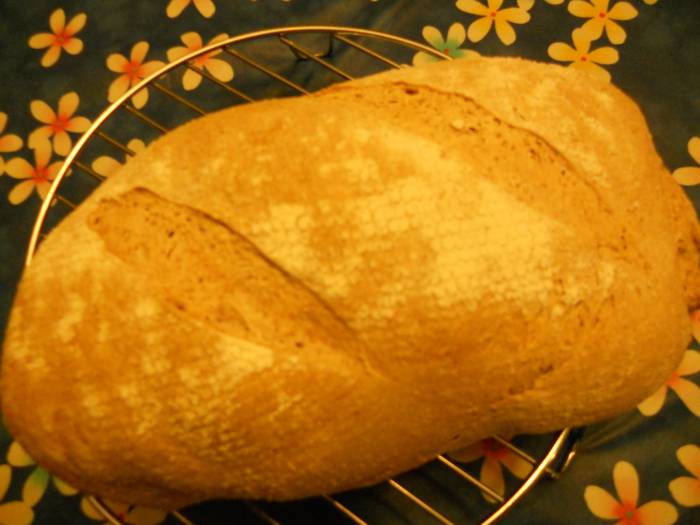 pagnotta semintegrale