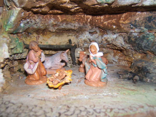 clicca per ingrandire